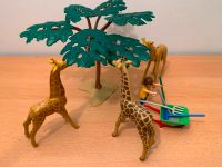 Playmobil mit drei Giraffen, einem Baum, einer Figur und Zubehör Schleswig-Holstein - Elmenhorst Kr Stormarn Vorschau