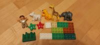 Lego Duplo 4962 Tierbabys, Zoo, Baby Bayern - Windach Vorschau