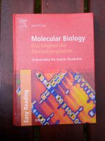 Molecular Biology- David P. Clark Köln - Raderthal Vorschau