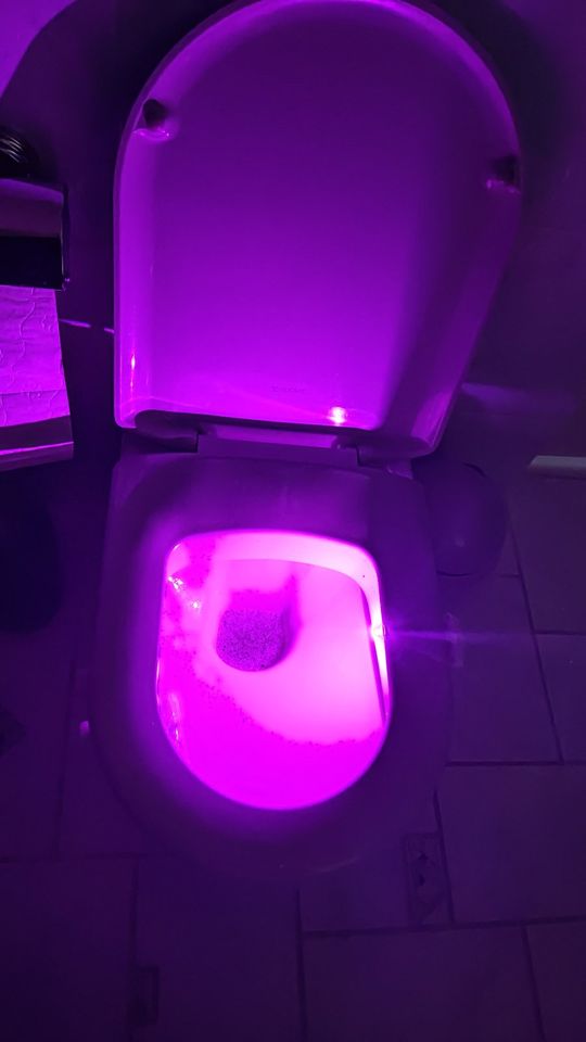 Nachtlicht für Toiletten im Doppelpack in Gröningen