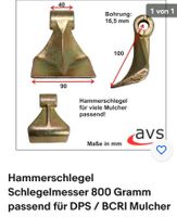 Original Hammerschlegel 800g Hammermesser Mulcher Müritz - Landkreis - Rechlin Vorschau