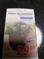 Rattan pflanze Kübel Nordrhein-Westfalen - Bergneustadt Vorschau