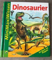 Buch Dinosaurier mit Klappen von Schwager&Steinlein Verlag Baden-Württemberg - Mannheim Vorschau