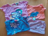 Set: 4 Mädchen - T-Shirts, auch einzeln abzugeben, Gr. 98/104 Hessen - Schwalbach a. Taunus Vorschau