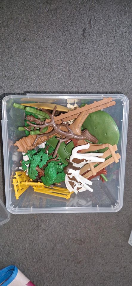 Playmobil Set/ Bunter Mix in Gifhorn