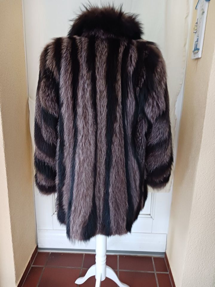 Pelzjacke Waschbär in Prenzlau