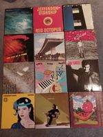 große LP Sammlung Schallplatten diverse LPS - BOX D Niedersachsen - Bad Essen Vorschau