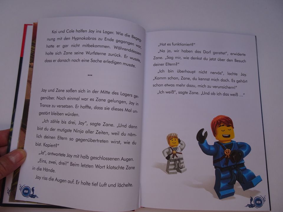 Kinderbuch Lesebuch Ninjago Die List der Schlangen in Bad Friedrichshall