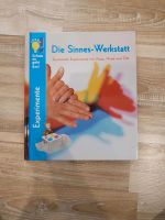 Buch: Experimente - Die Sinnes-Werkstatt Sachsen - Limbach-Oberfrohna Vorschau