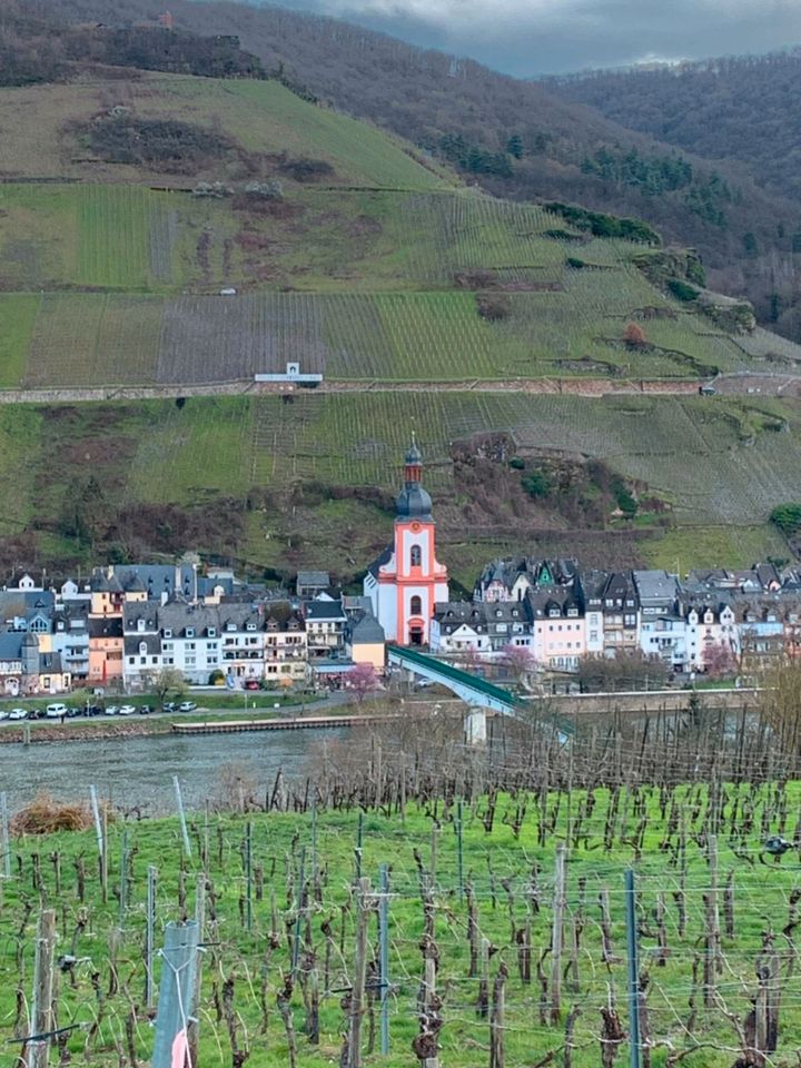 Stellplatz für Campingwagen / Tiny Haus auf Räder Mosel Blick in Zell (Mosel)