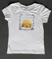 Schönes Shirt Tshirt Aufdruck Hund sOliver Größe 140 - 110 Hessen - Kassel Vorschau