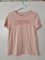 Esprit Shirt XXL Niedersachsen - Hornburg Vorschau