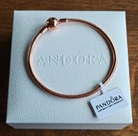 Pandora Moments Schlangenglieder Armband 20cm ALE R Sachsen-Anhalt - Dessau-Roßlau Vorschau
