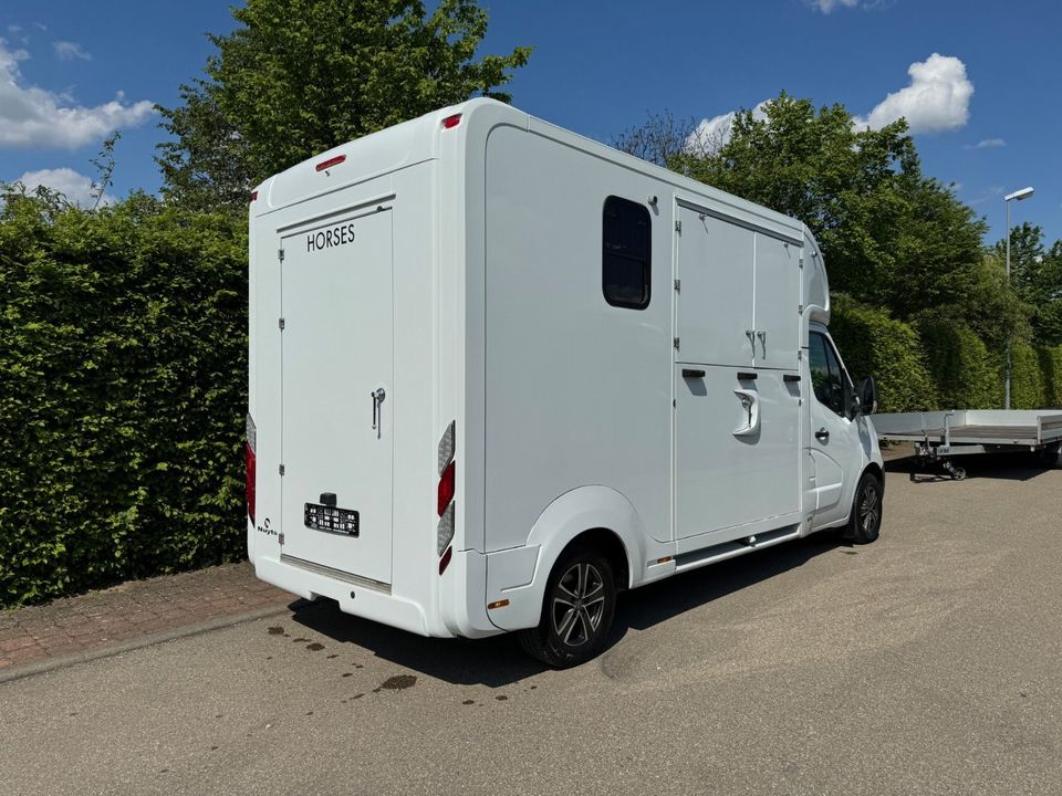 Pferdetransporter  Viehtransporter Tiertransporter LKW Nuyts 3,5t in Unterschneidheim