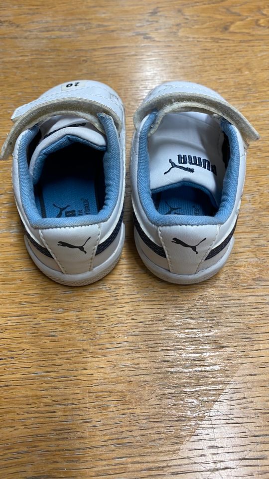 Puma Schuhe Babys Kleinkinder Größe 20 in Köln