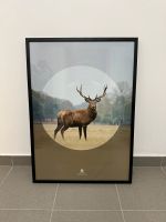 Hirsch Bock Reh Wild Jäger Rotwild Dammwild Bild Kunst Rahmen Rheinland-Pfalz - Holsthum Vorschau