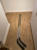 Warrior Alpha QX Sticks (2x) Buchholz-Kleefeld - Hannover Groß Buchholz Vorschau