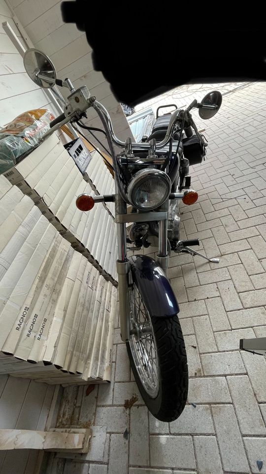 Suzuki LS 650 in Stipshausen