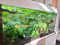 Aquarium 200 Liter Güstrow - Landkreis - Güstrow Vorschau