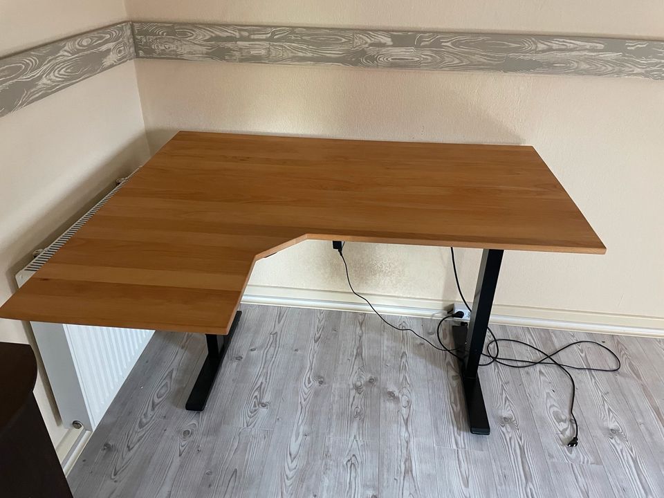 Flexispot, elektr. höhenverstellbarer Schreibtisch, 120cm x 60cm in Fürthen