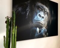 Alu-Dibond Gorilla 100x140 Kunstwerk / Kunstdruck Pankow - Prenzlauer Berg Vorschau