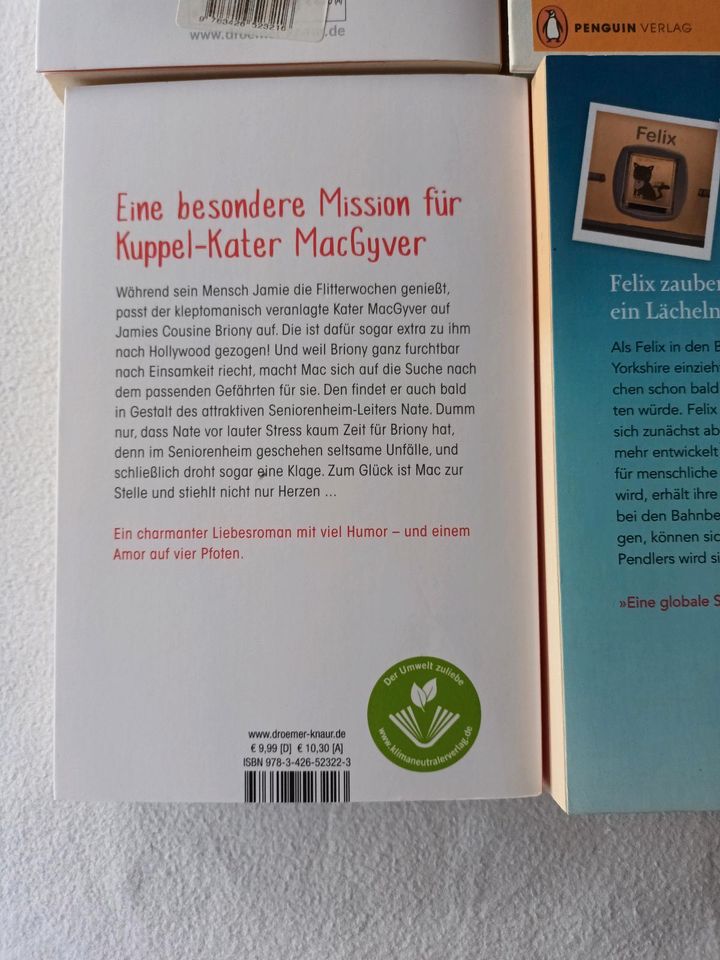 Romane über Katzen Bücherpaket in München