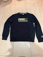 Pulli Puma Performance Black- Gr. M Brandenburg - Schönefeld Vorschau