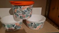 Tupperware Iluminas tropical Set 3-teilig NEU Bayern - Breitenbrunn Vorschau