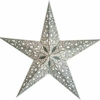 Stern starlightz Original raja silver (ca.32x25cm) Rheinland-Pfalz - Guntersblum Vorschau