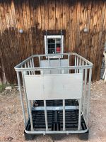 IBC Gitterbox Container 20x Hockkant Strebe Heuraufe Schleswig-Holstein - Witzhave Vorschau