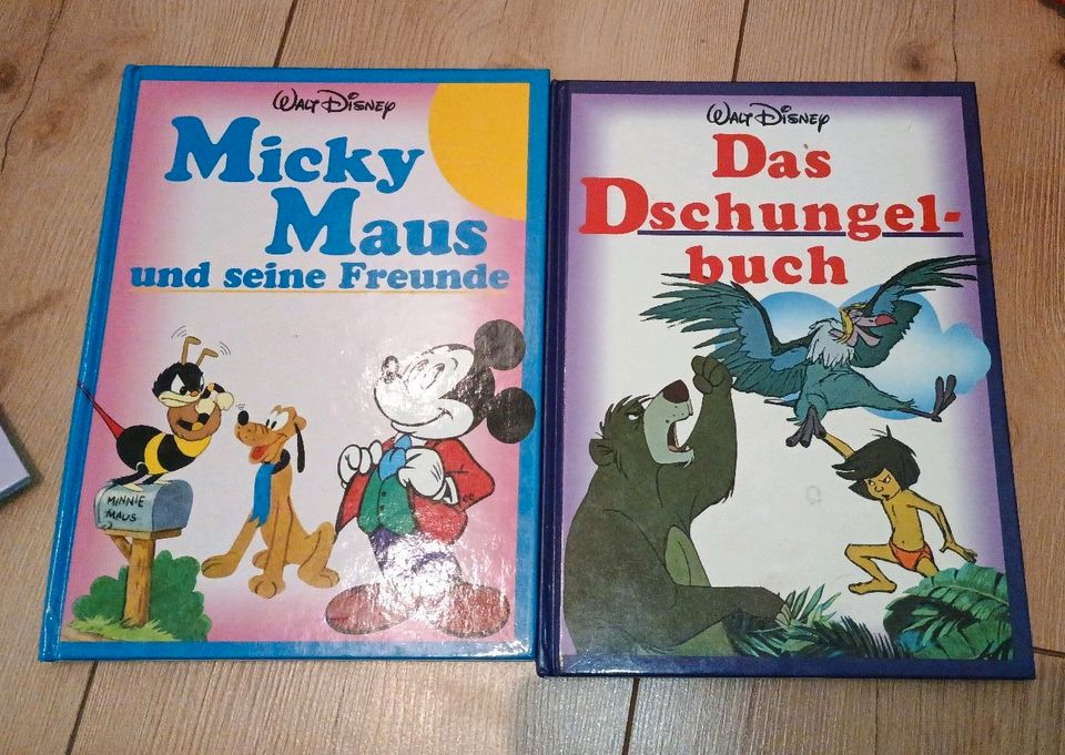 Kinderbücher Puzzles Konvolut Peppa Wutz Paw Patrol Disney in Allendorf