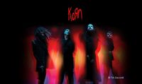 Suche 2 KORN Tickets München Zenith Kr. Altötting - Burgkirchen Vorschau