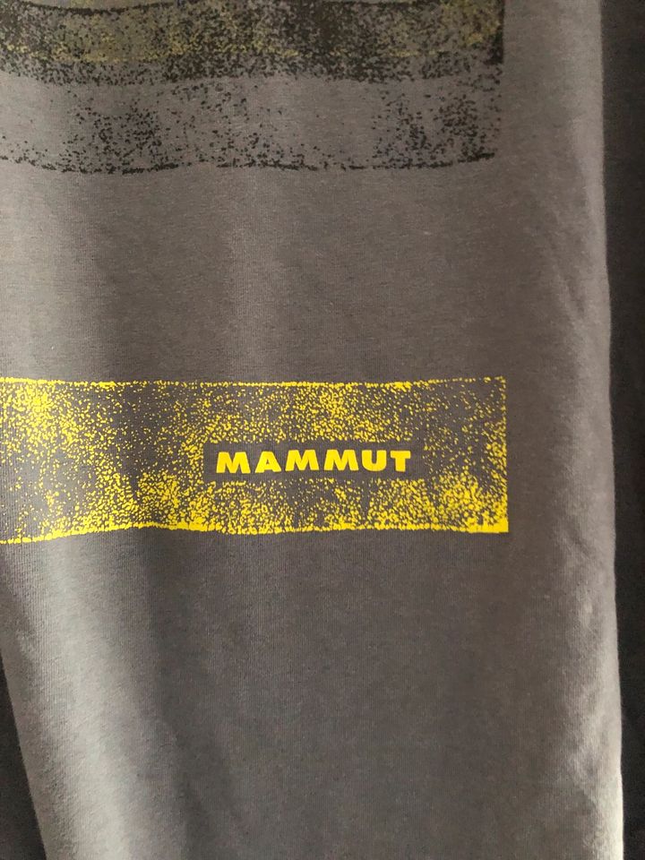 Herren Mammut T-Shirt gr. L in Hiltenfingen