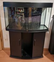 Juwel Aquarium mit Unterschrank Hessen - Glashütten Vorschau