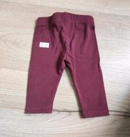 Baby Leggings Größe 56 Thüringen - Steinbach-Hallenberg (Thüringer W) Vorschau