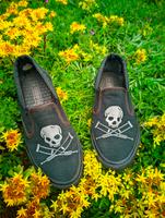 Converse Sneaker JACKASS Edition SELTEN 37/38 Sachsen - Wiedemar Vorschau