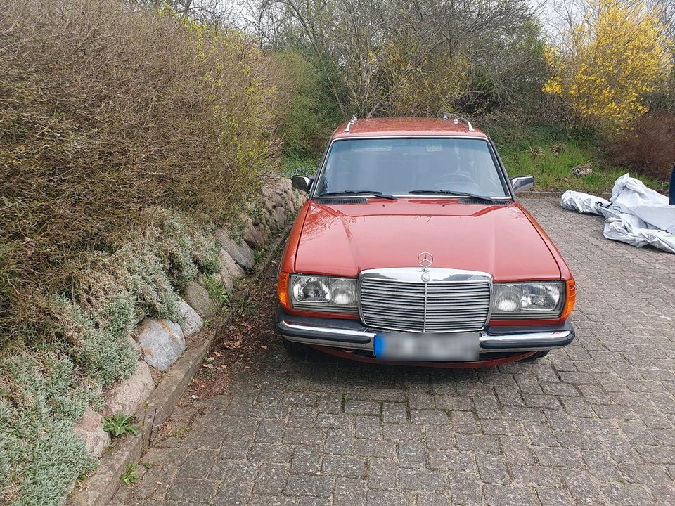 Mercedes Benz 300 TD W123 in Neustadt in Holstein