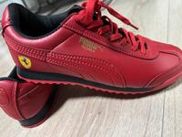 Puma Schuhe Neu Bad Godesberg - Mehlem Vorschau