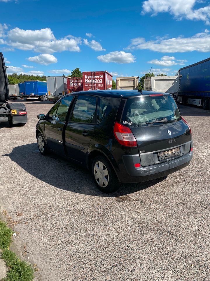 Renault senice 1.6 Benzin in Lübeck