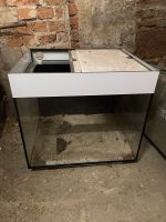 Aquarium mit Abdeckung 60x50x52cm Sachsen-Anhalt - Rätzlingen bei Haldensleben Vorschau