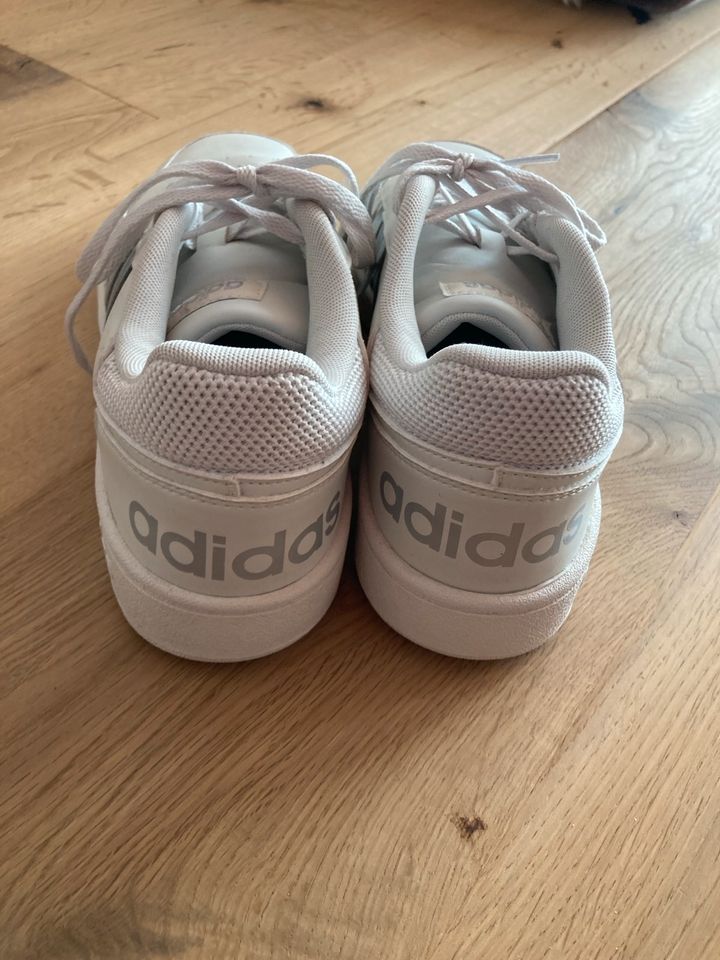 Adidas Sneaker in Flonheim