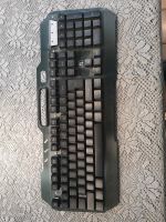 Verkaufe PC Gaming Tastatur. Hessen - Schlitz Vorschau