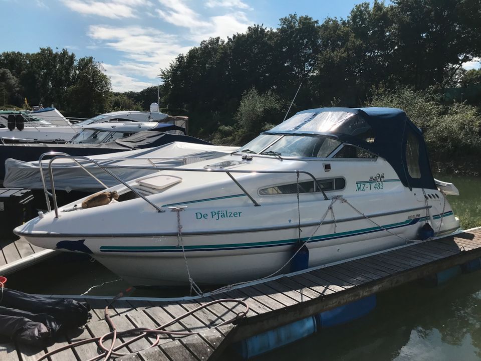 Sealine 240 mit Dieselmotor in Bockenheim an der Weinstraße