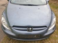 Peugeot 307CC Cabrio  Motorhaube Original Schleswig-Holstein - Itzehoe Vorschau