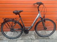 28 Zoll Raleigh XXL Damenfahrrad 56cm/bis170kg 8gang-Rücktritt Wandsbek - Hamburg Jenfeld Vorschau