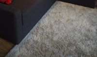Flauschiger Teppich, beige Altona - Hamburg Ottensen Vorschau