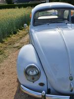 VW Käfer 1959 (Export Modell CKD) Schleswig-Holstein - Norderstedt Vorschau