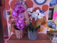 2 x Kunstblumen–  im Topf incl. Übertopf ( Orchideen ) Rheinland-Pfalz - Rommersheim Vorschau