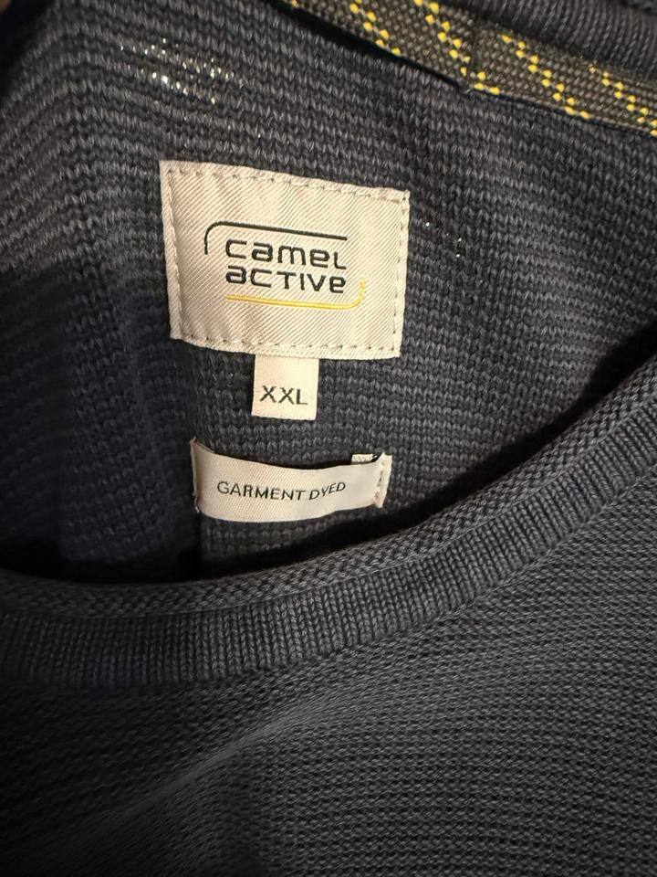 Camel Active Pullover in Bad Zwischenahn