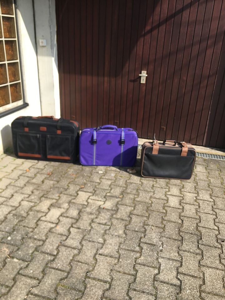 3 Koffer zu verkaufen mit Schlüssel je 5 Euro in Esslingen